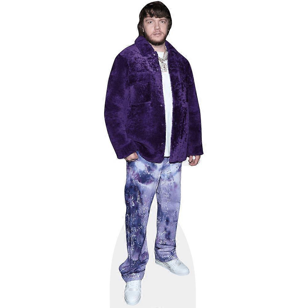 Shane Lee Lindstrom (Purple) Cardboard Cutout (lifesize OR mini size). Standee. Stand Up.