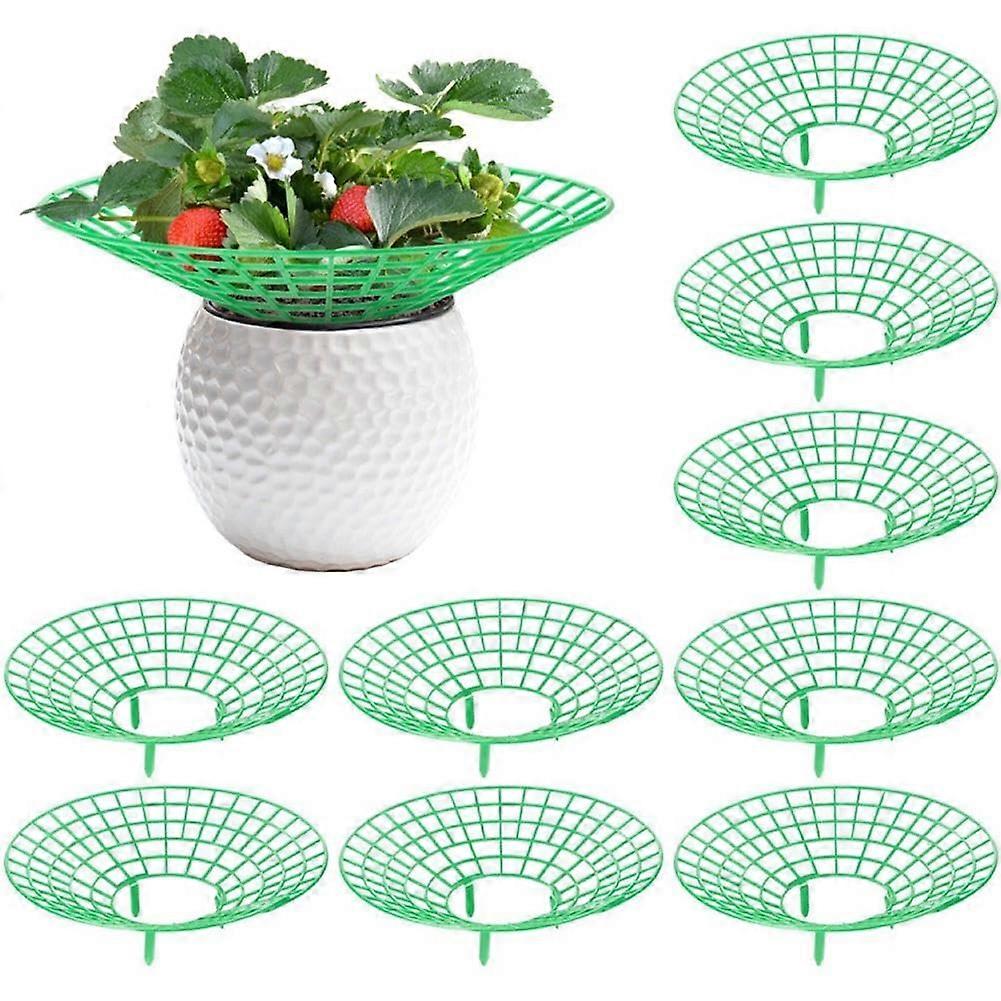 10 Pack Strawberry Plant Support Stand with Stable ThreeLeg Design Protects Fruit from Rot