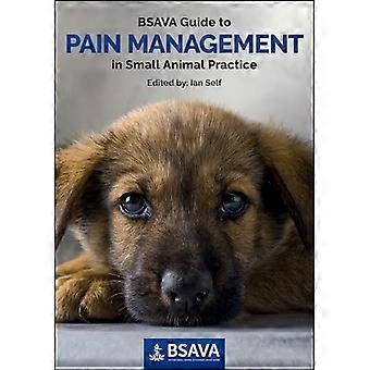BSAVA Guide to Pain Management in Small Animal Practice (BSAVA British Small Animal Veterinary Association)