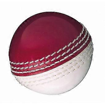Durable Cricket Ball for Skills Training & Development