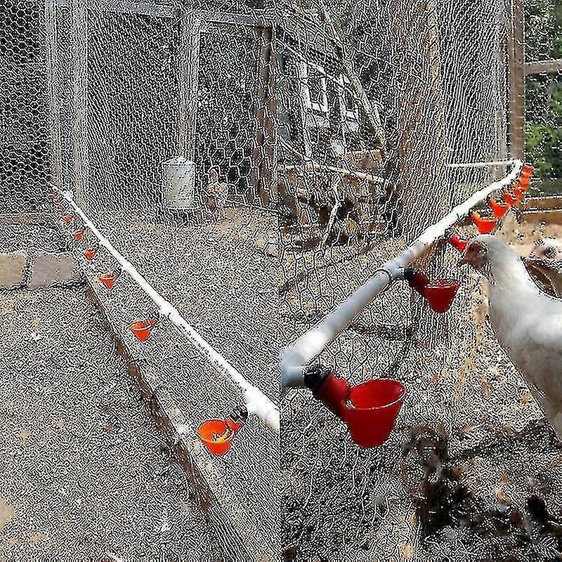 10 Pcs Poultry Drinking Fountain for Breeding Equipment