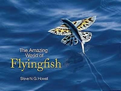 Die wunderbare Welt des Flyingfish