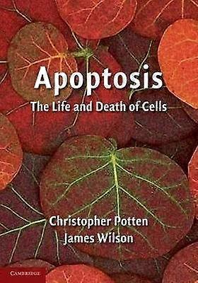 Apoptosis