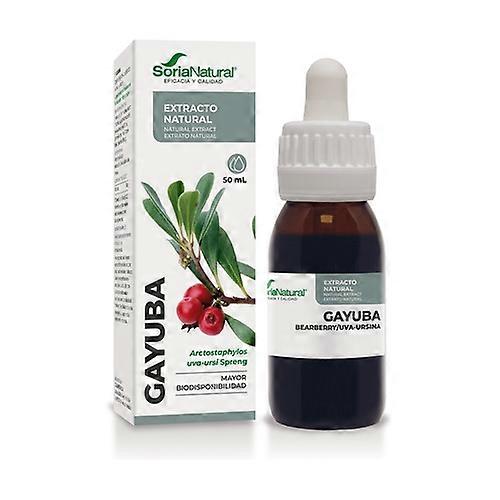 Bearberry Extract (XXI Formula) 50 ml