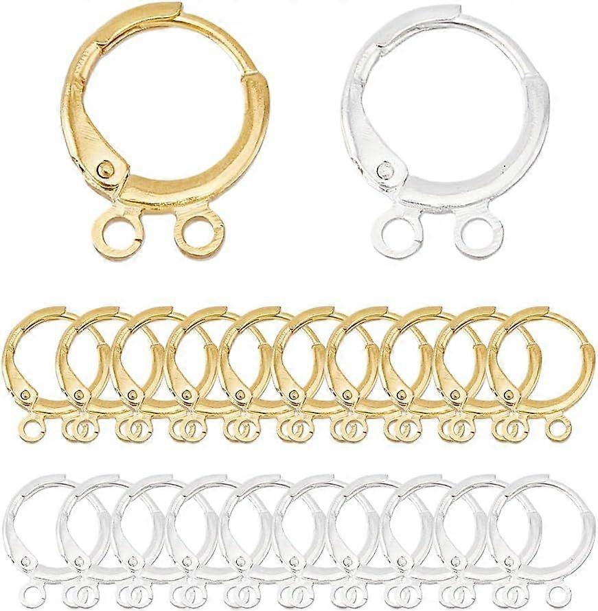 40Pcs 2 Color Leverback Earring Findings Round Earring Hooks Lever Back Earring Round French Hook Hypoallergenic Open Loop Leverback Earwires for DIY 