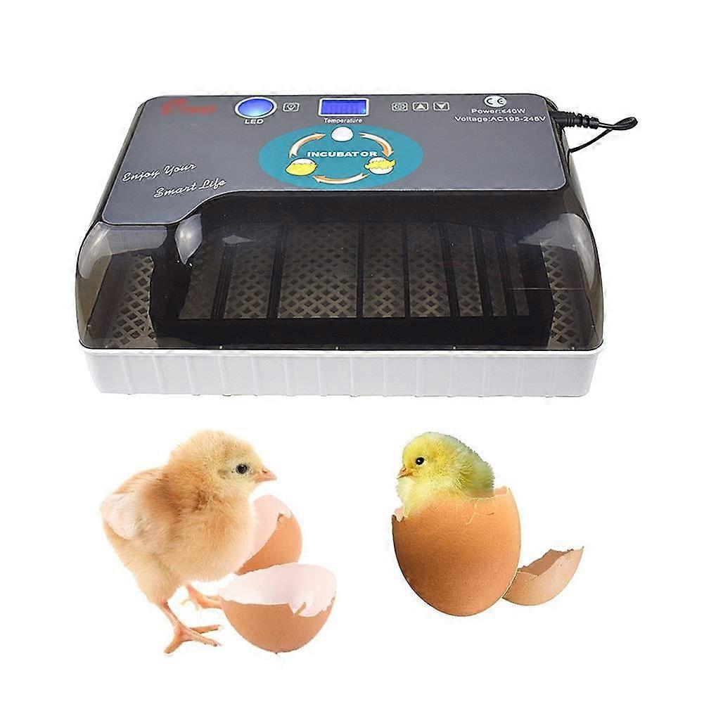 Automatic Egg Incubator with Smart Temperature Control and Egg Turning for Chicken Duck Quail