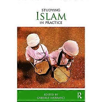 Islamstudium in der Praxis (Studium der Religionen in der Praxis)