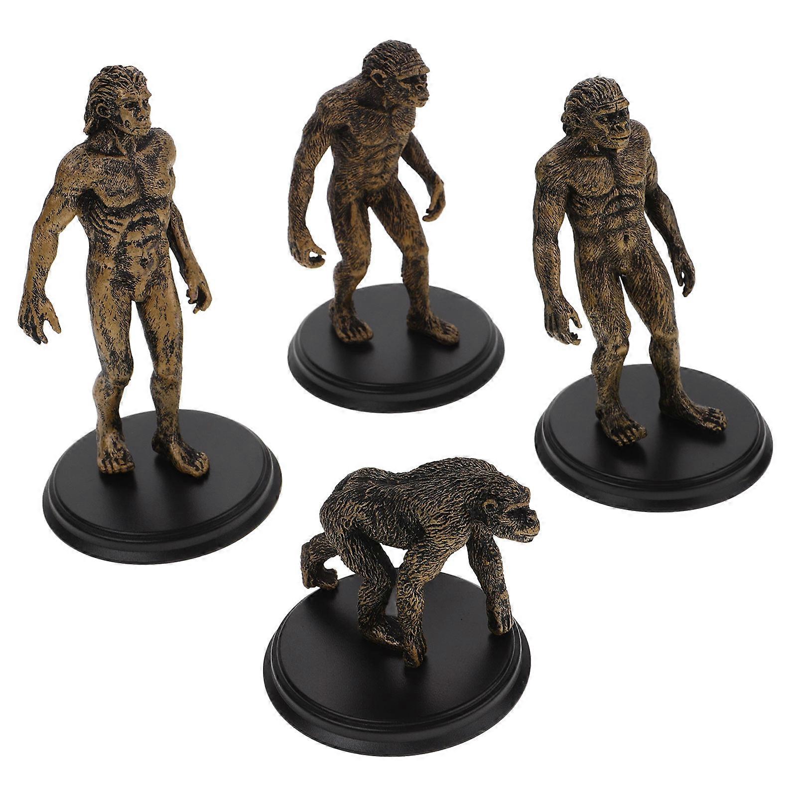 4pcs Cognitive Toys Human Evolution Models Ape Evolution Model Teaching Tool Layout Props