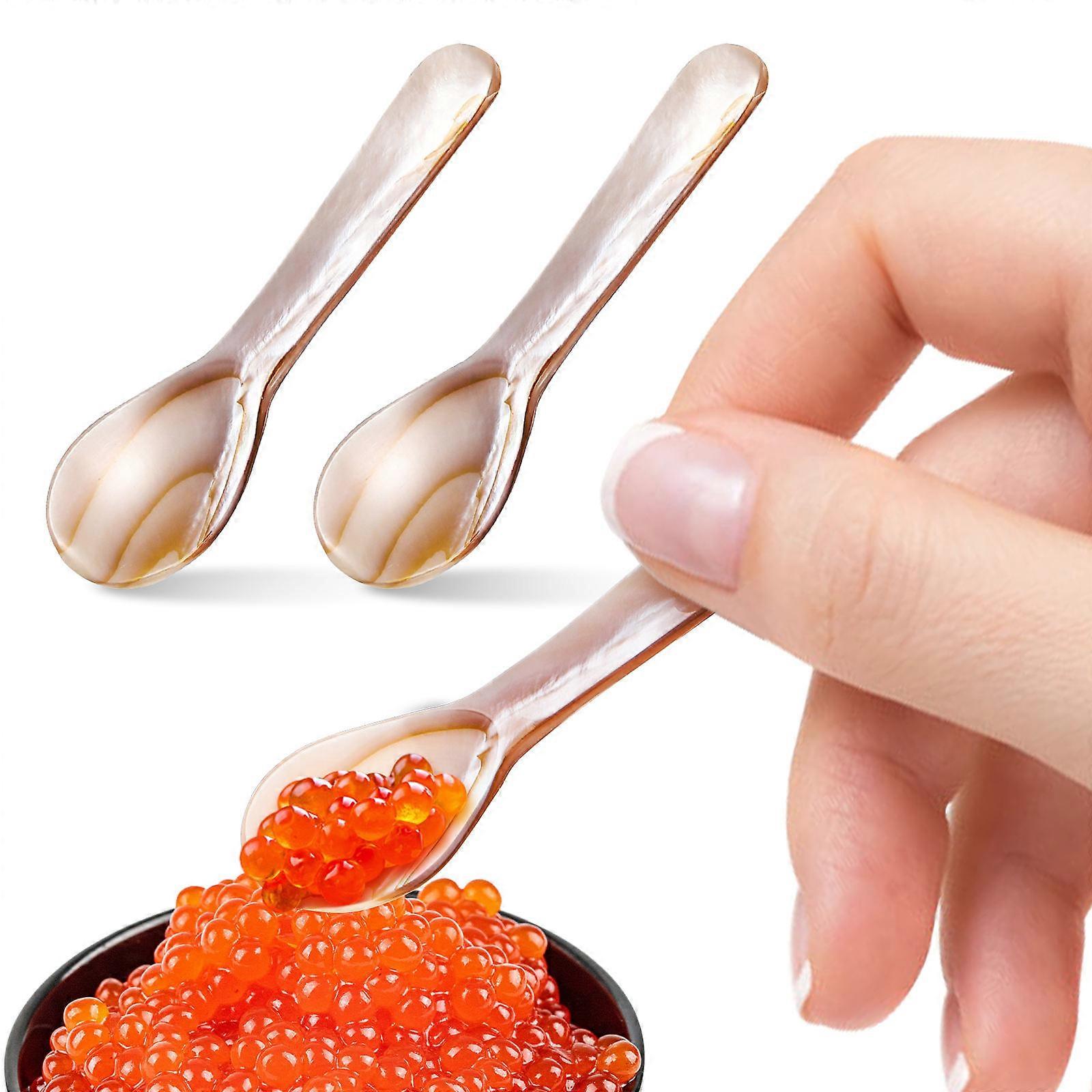 3pcs Shell Spoon Small Spoon Multi-function Spoon Dessert Caviar Serving Spoon