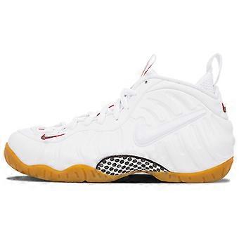 Nike Air Foamposite Pro Wit Gucci 624041-102