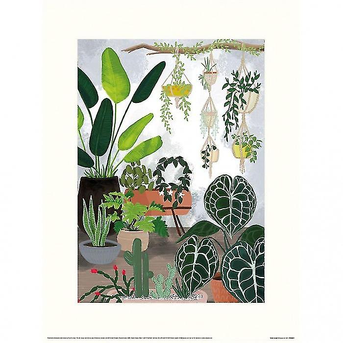 Rosana Laiz Jungle Print