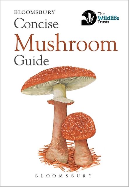Concise Mushroom Guide by Bloomsbury Paperback