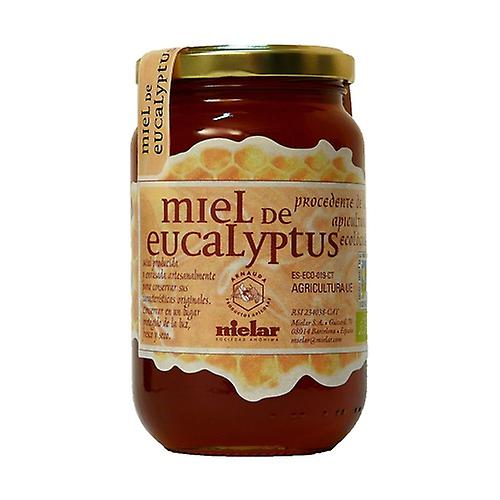 Organic Eucalyptus Honey 500 g