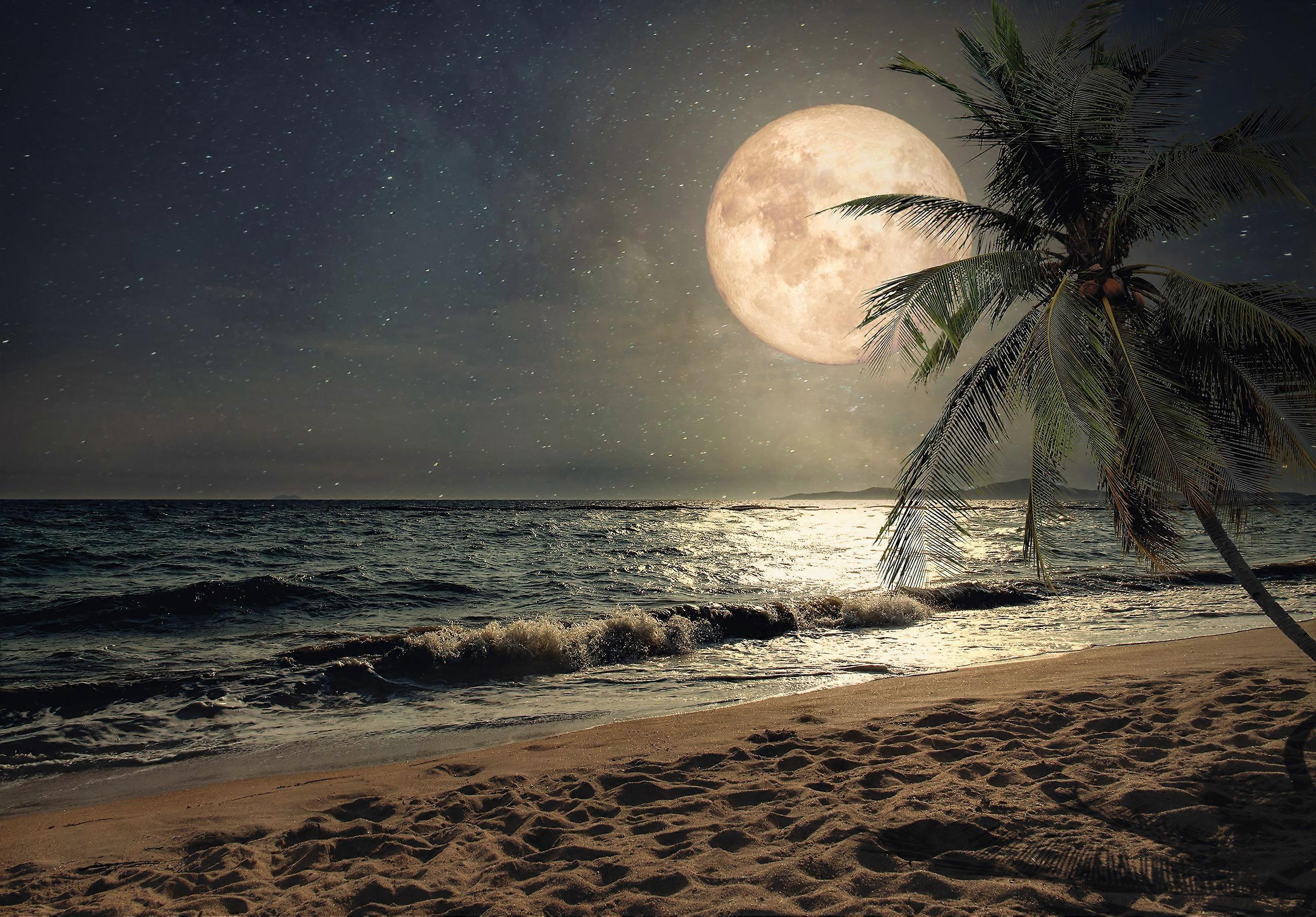 Wall Mural Full Moon Ocean