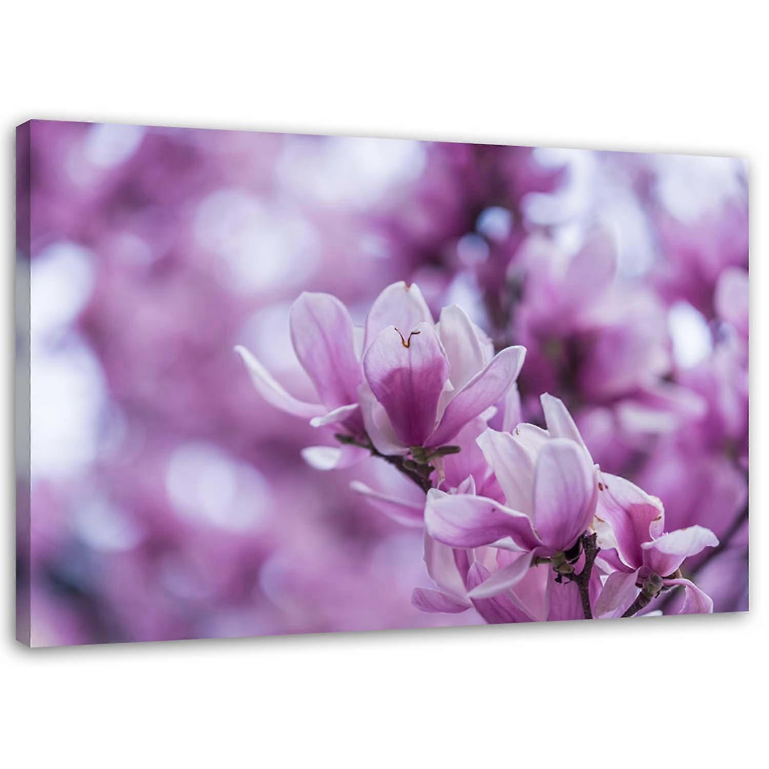 Impression sur toile, Fleurs de magnolia - 90x60