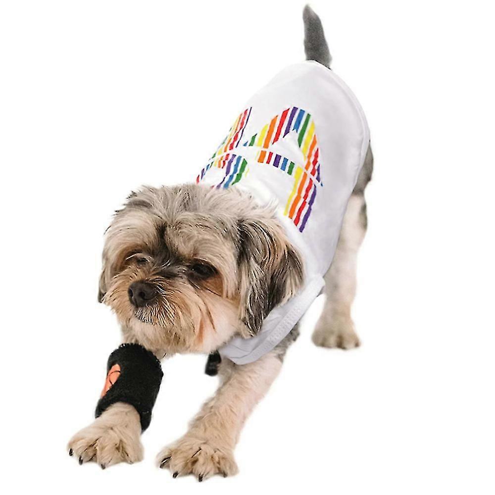 Dog Clothes Spring And Summer Thin Rainbow