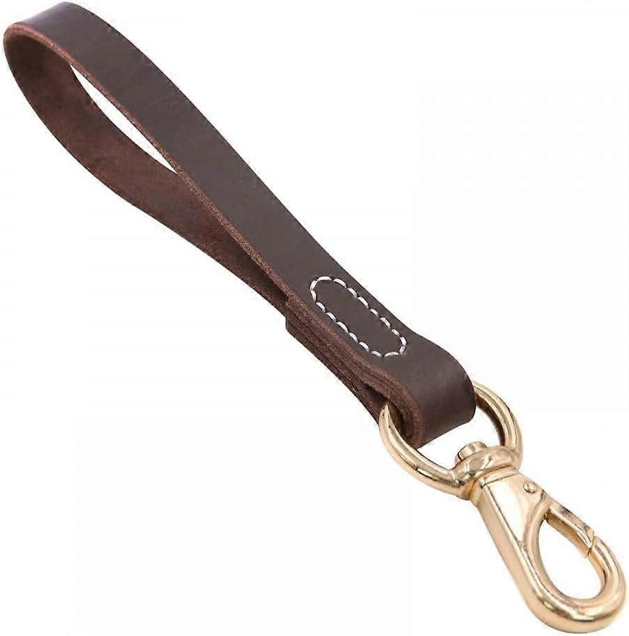 1 Pet Leash, Leather Dog Leash with Padded Handle