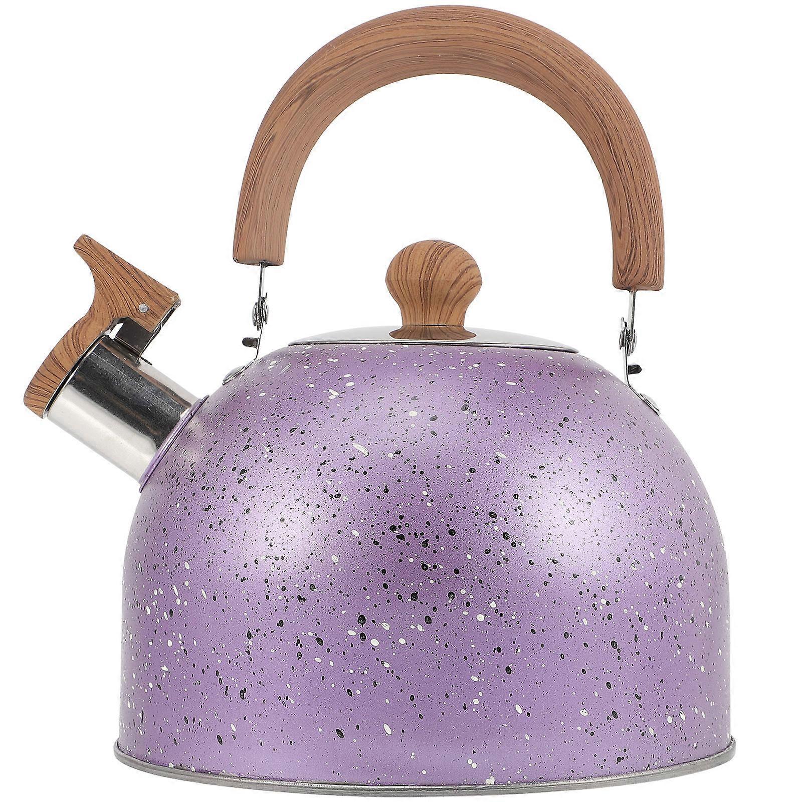 Stainless Teapot Boiling Water Pot for Home Use Heat Resistant 2L 1Pack