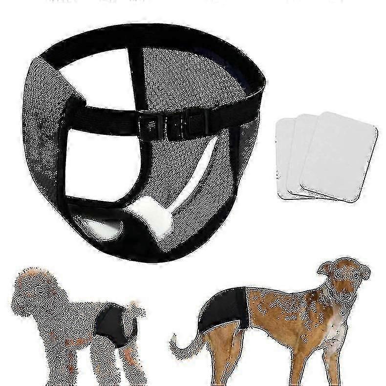 5 pannolini lavabili per cani con 3 assorbenti igienici per cagne in calore