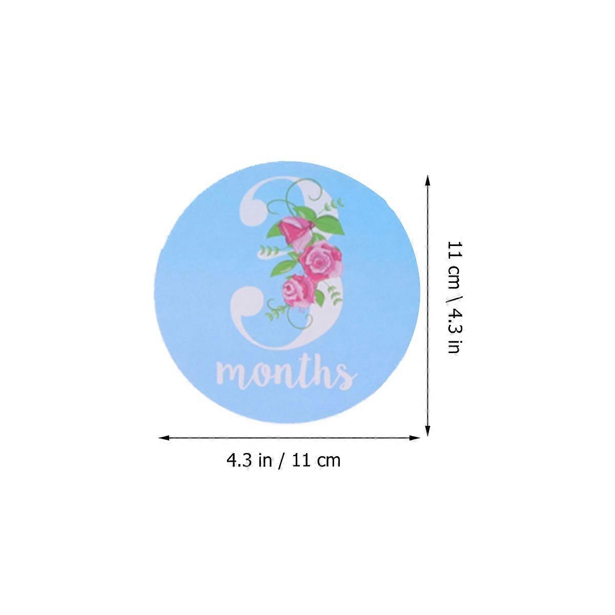 Month Sticker for Infant Flower Pattern Milestone Stickers 12Pcs