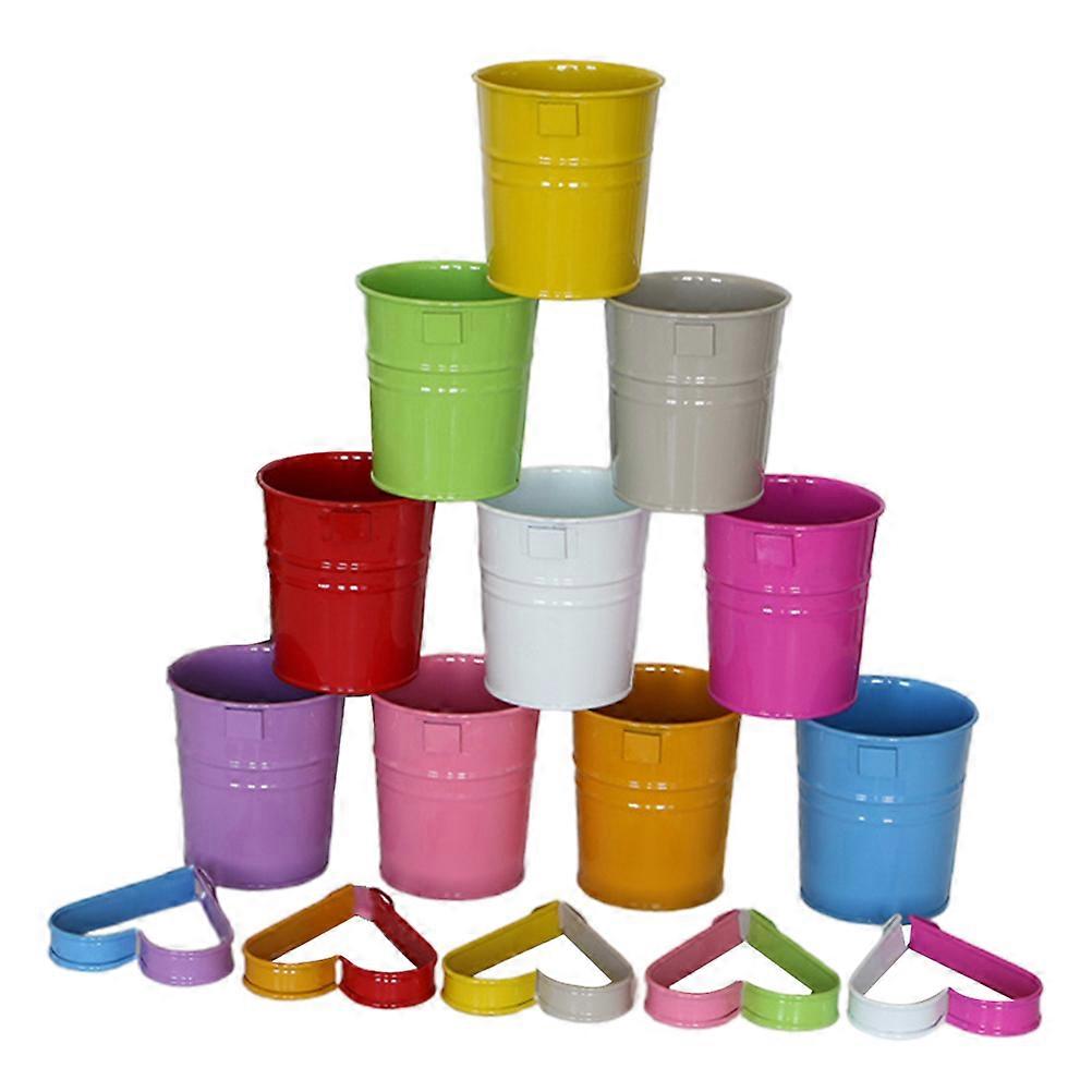 Iron Flower Bucket for Home Pot Plant Use with 10Pcs Assorted