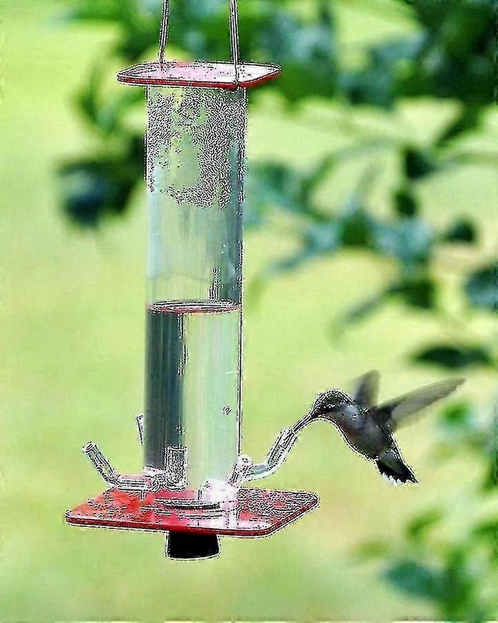 Hummingbird Feeder with Easy Clean Design