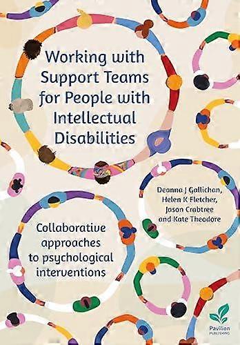 Working With Support Teams For People With Intellectual Disabilities by Kate Theodore Paperback