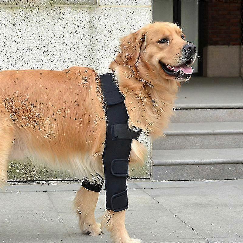 Compression Pads for Dog Elbow & Shoulder Joint Support - Pair of Protective Wraps