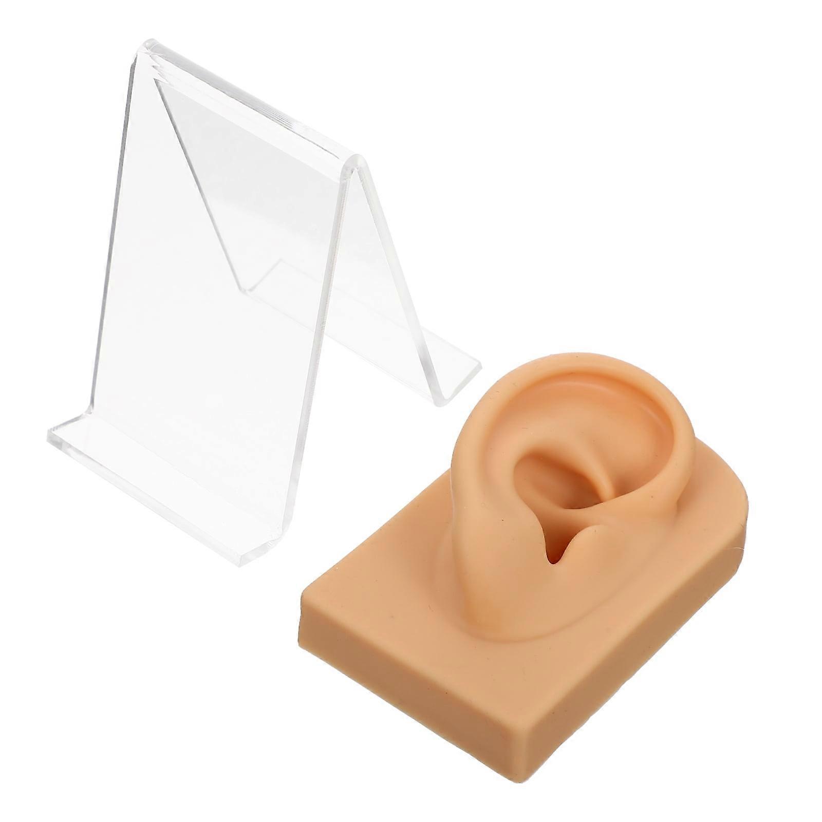 3 Sets of Countertop Silicone Ear Multi-function Earring Holder Decorative Ear Model