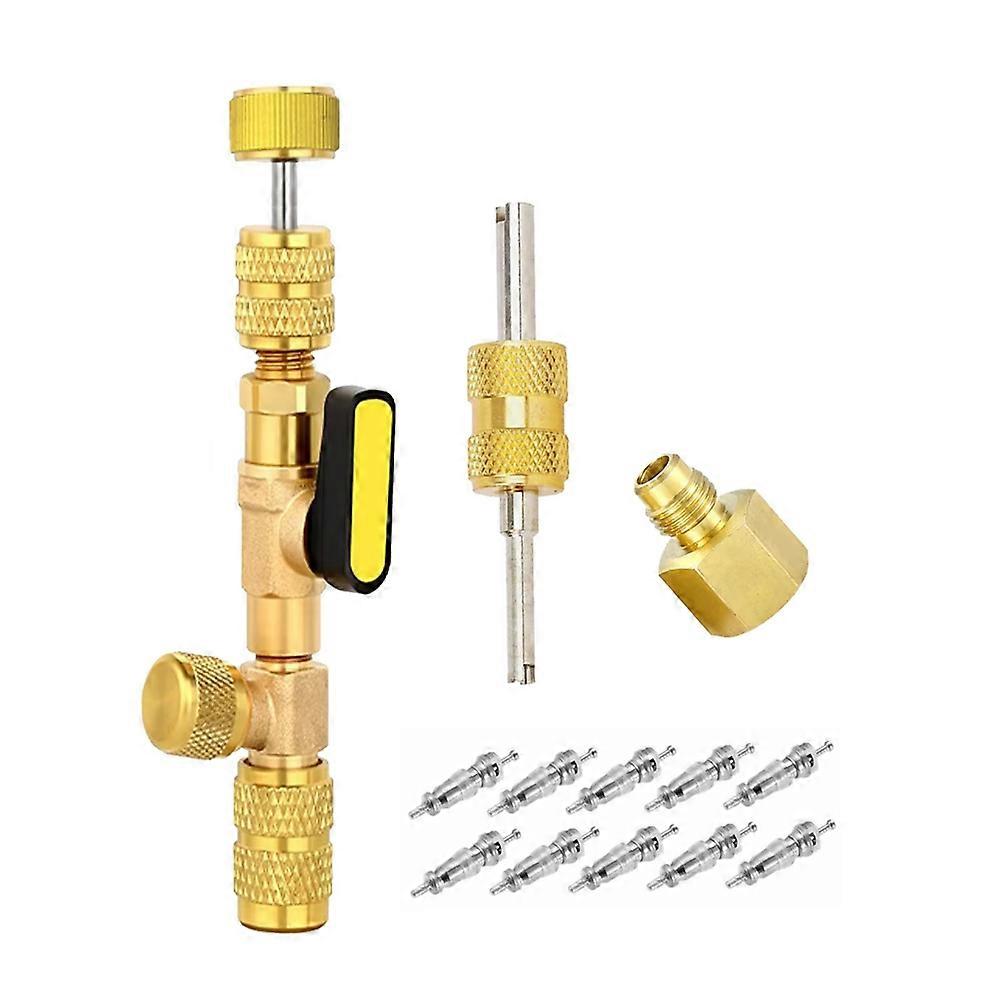 Valve Core Remover Installer Tool with 10PCS 5v1 Valve Cores and Double Head Valve Core Remover with 1/4 & 5/16 Port
