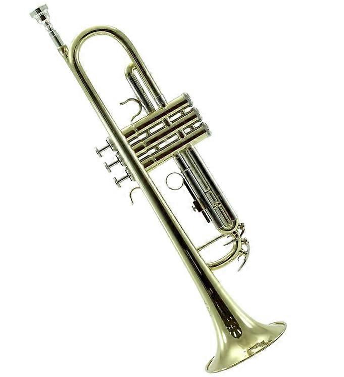 Gold Plated Bb Trumpet with Case, Smooth Valve Action, Ready to Play Beginner Kit