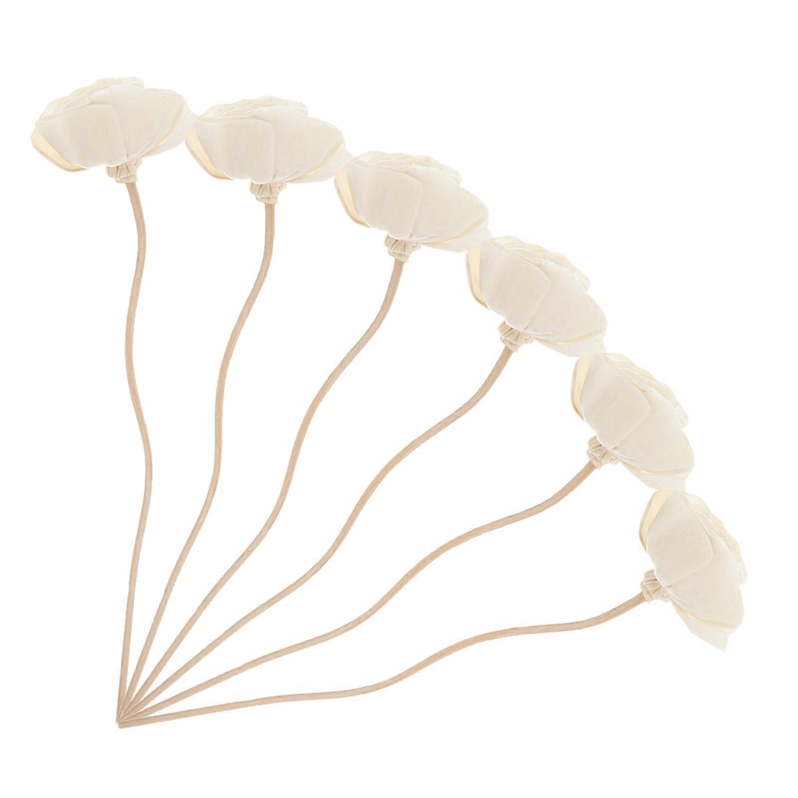 6pcs Dried Flower Diffuser Sticks Essential Oil Diffuser Aroma Diffuser Sticks