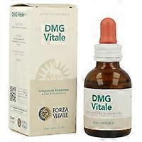 DMG Vitale 50 ml