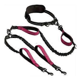 Reflective Dual Dog Leash Nylon