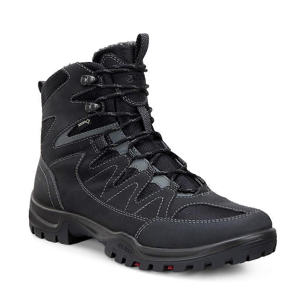 Shoes Ecco Expedition Iii High Gtx 81117453859