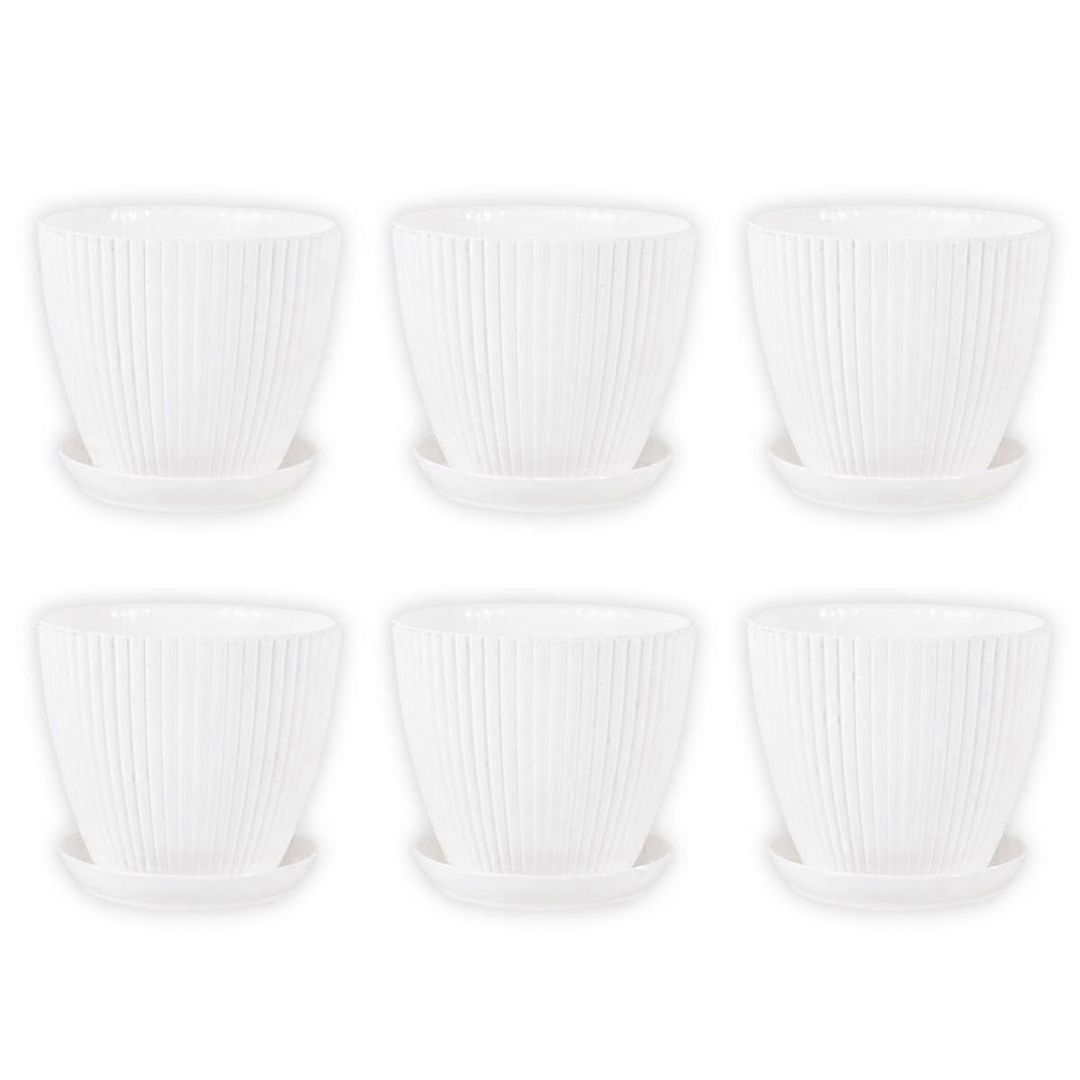 多肉植物、蘭、ハーブ用の排水穴付き耐久性のあるポット&トレイセット