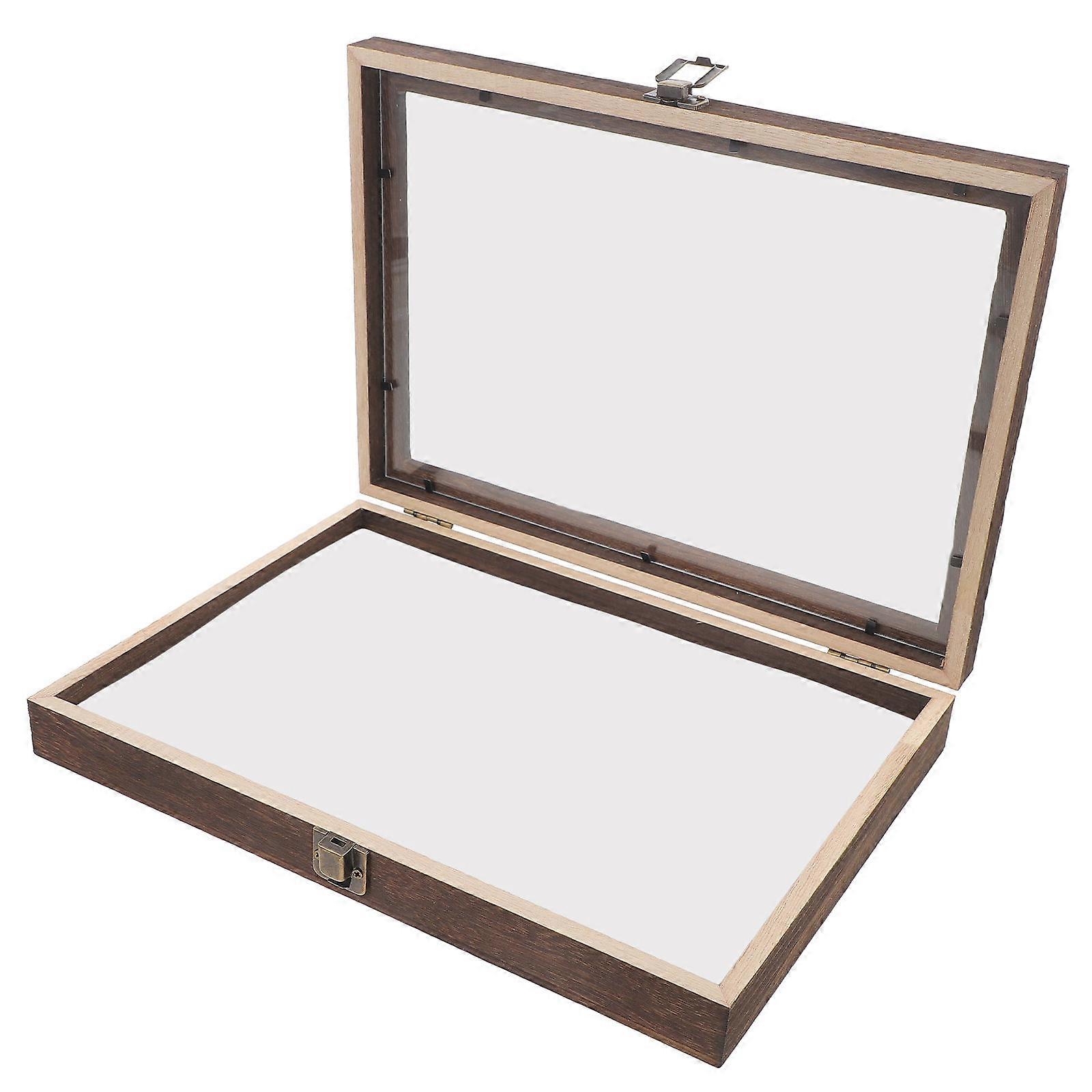 Insect Teaching Specimens Specimen Display Cases Lock Sealing Effect Large Capacity 1Set