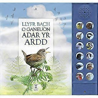 LLYFR BACH O GANEUON ADAR YR ARDD: The Little Book of Garden Bird Songs (Welsh edition) [Board book]