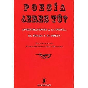 Poesía ¿eres tiº? : ungefähre Angaben zur Poesie, zum Gedicht und zum Dichter