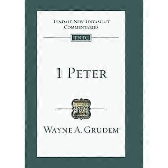 1 Comentário do Antigo Testamento de Peter Tyndale - Wayne A Grudem - Brochura - em Livro