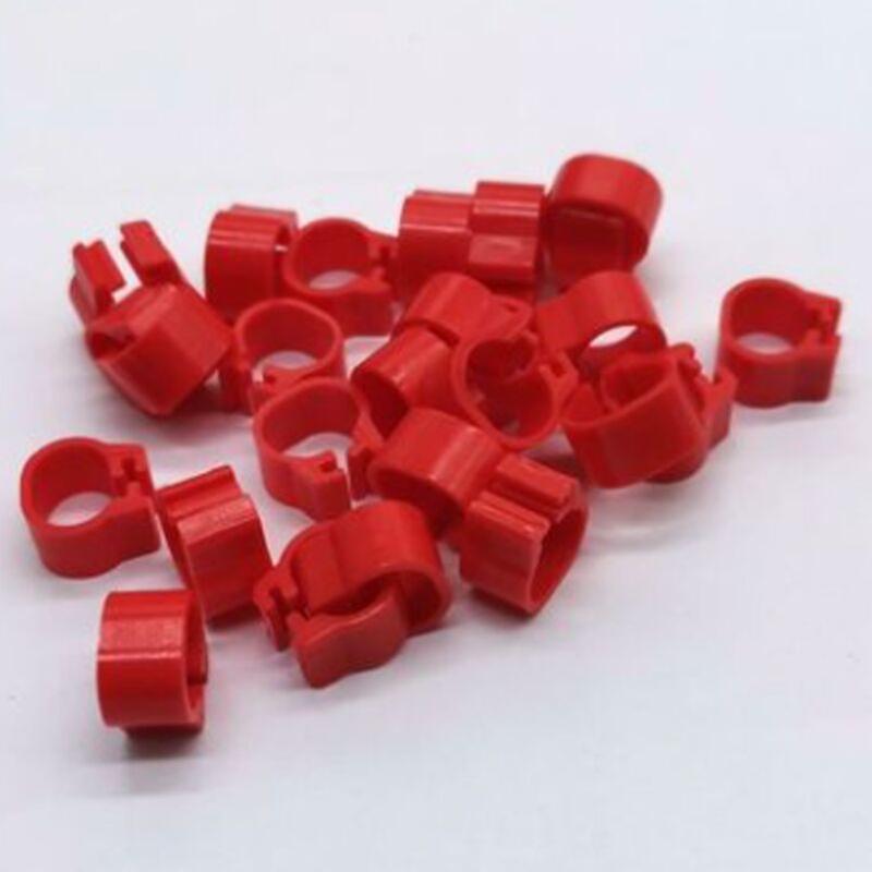 Set of 100 rings for birds, hen, pigeon, poultry, dove, duck, parrot