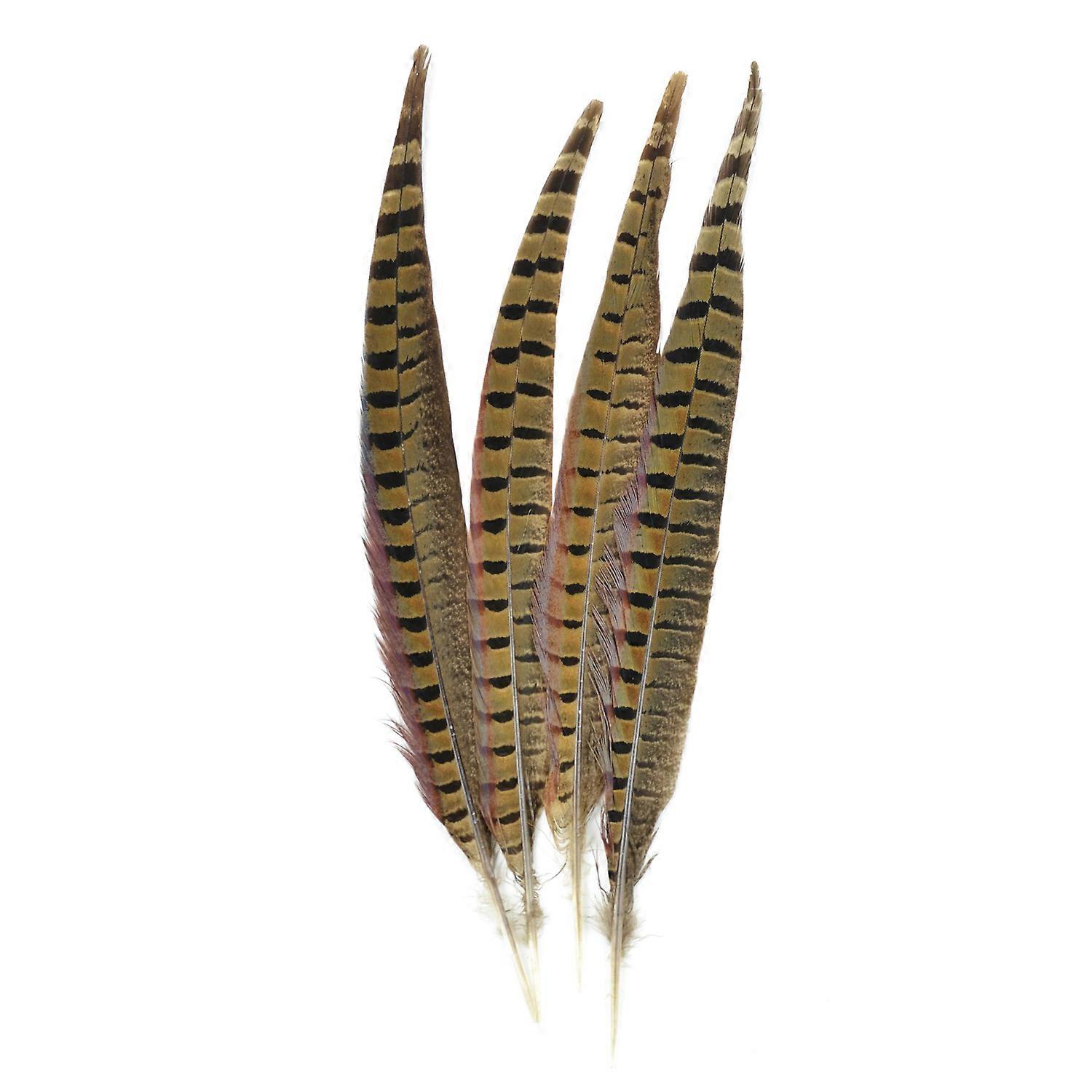 Touch of Ringneck Pheasant Feathers 4/Pcs, Natural