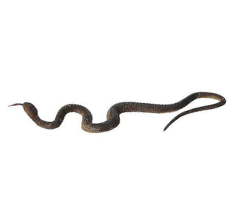 Snake Simulation Snake Fake Snake Toyblack