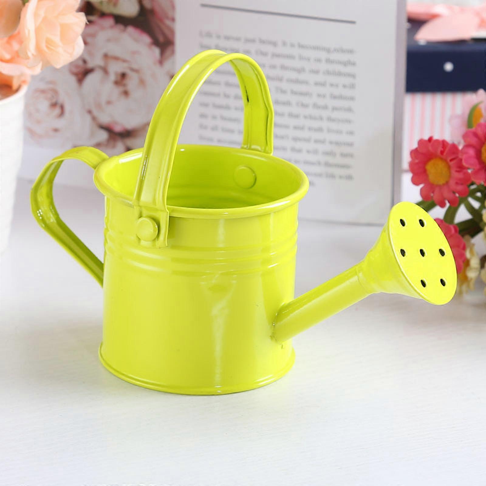Iron mini Watering Can Spray Bottle Metal Wrought With Handle Sprinkled Shower