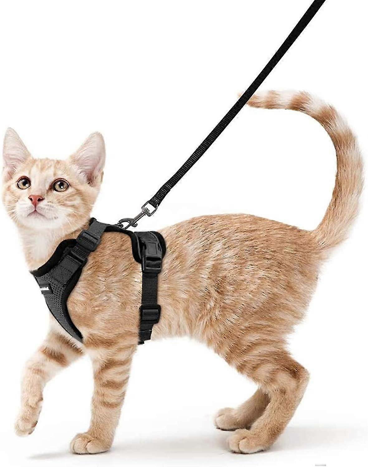 Harness And Leash For Walking, Escape Proof Soft Adjustable Vest Harnesses For s, Easy Control Breathable Jaet