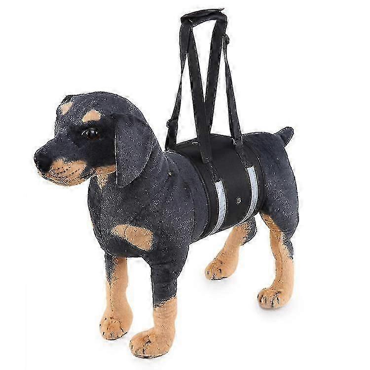 Popular dog carrying and pet assisting with protection belt adjustable harness set leash soft carrier accessories supplies soft