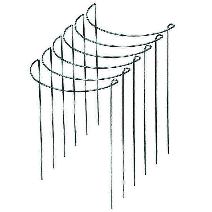 2025 Iron Wire Plant Supports, 6 Pack Height Diameter