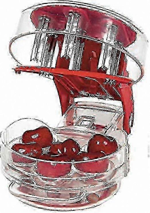 Cherry Pitter with Seed Remover, 6-Capacity Fruit Tool for Effortless Coring and Deseeding, Red Handle