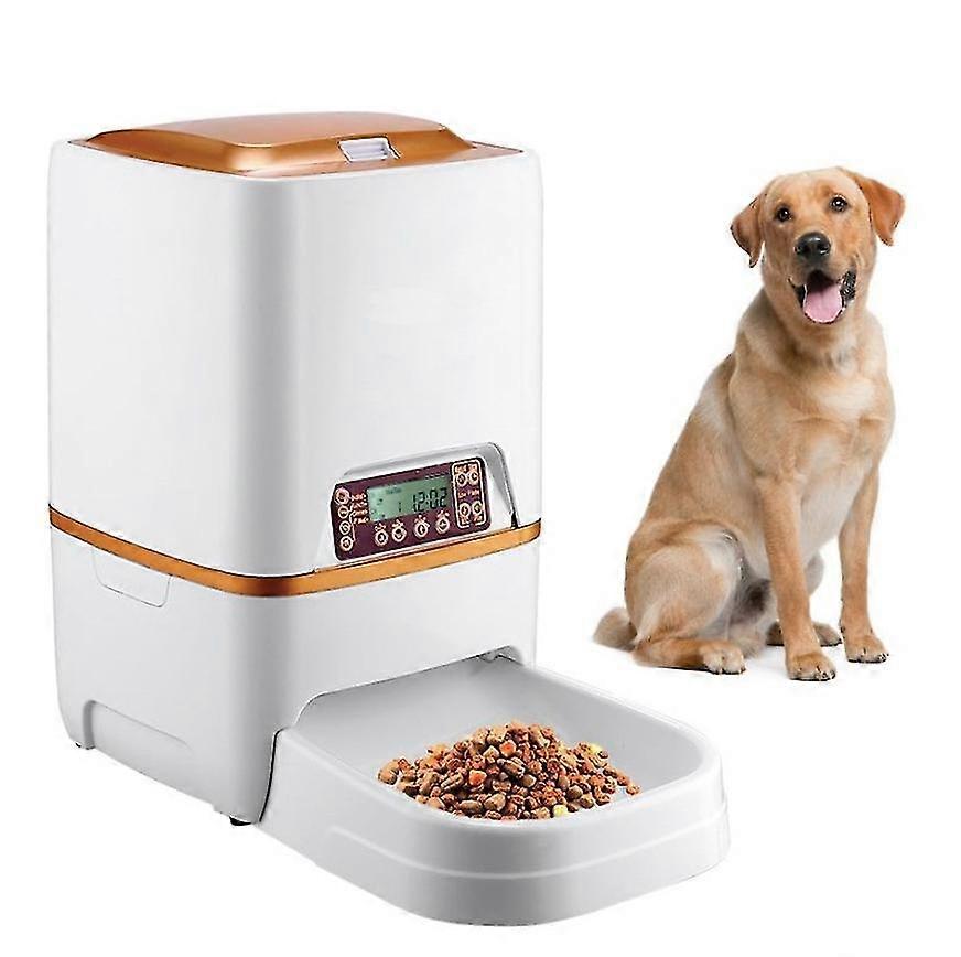6l Automatic Dog