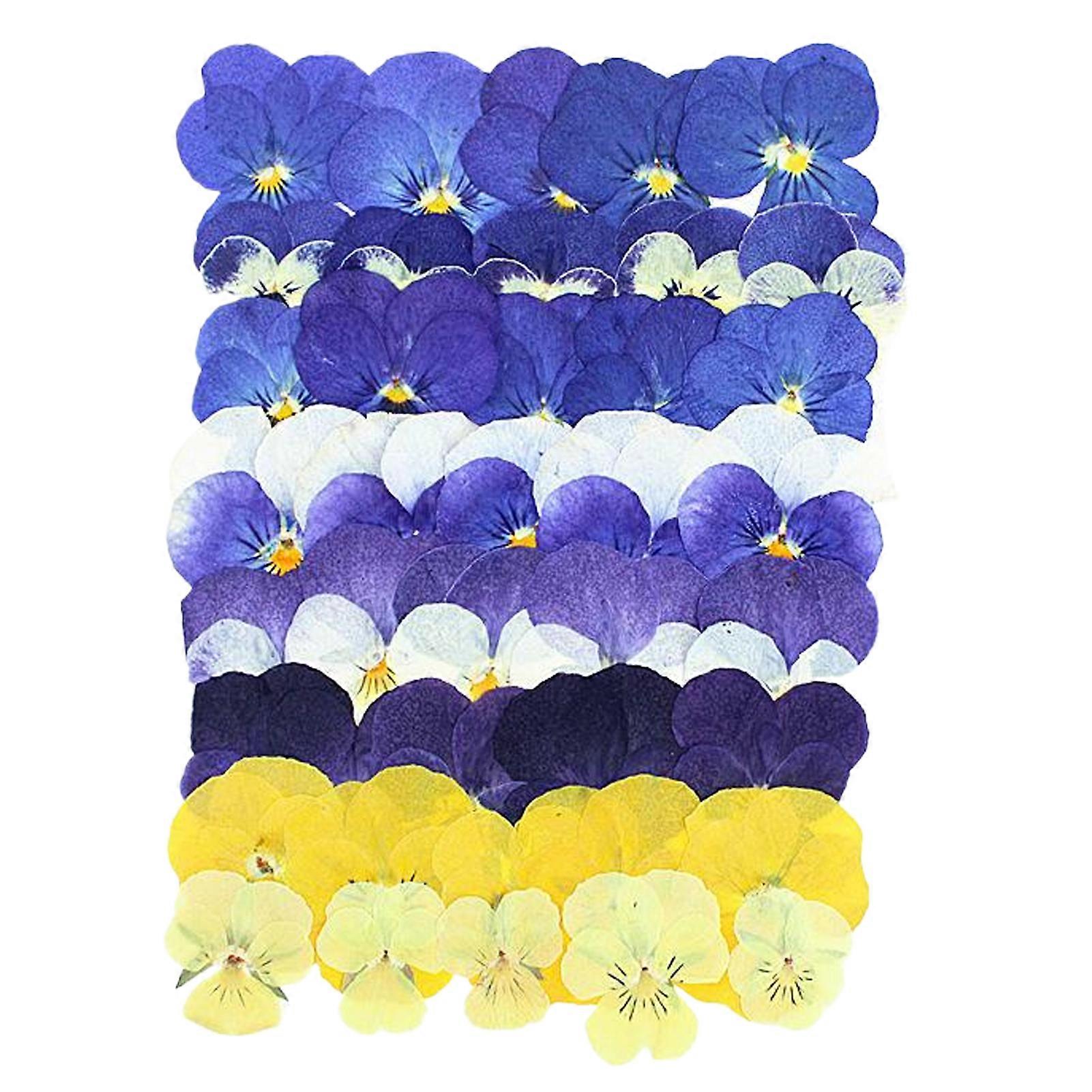 Pressed Flowers, Accessories. Soft Durable. For Makeup Embellishments,